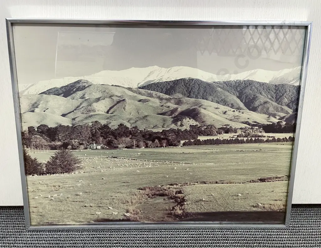 Three Fred Jolly NZ Farmscape Photographic Prints Image 1++