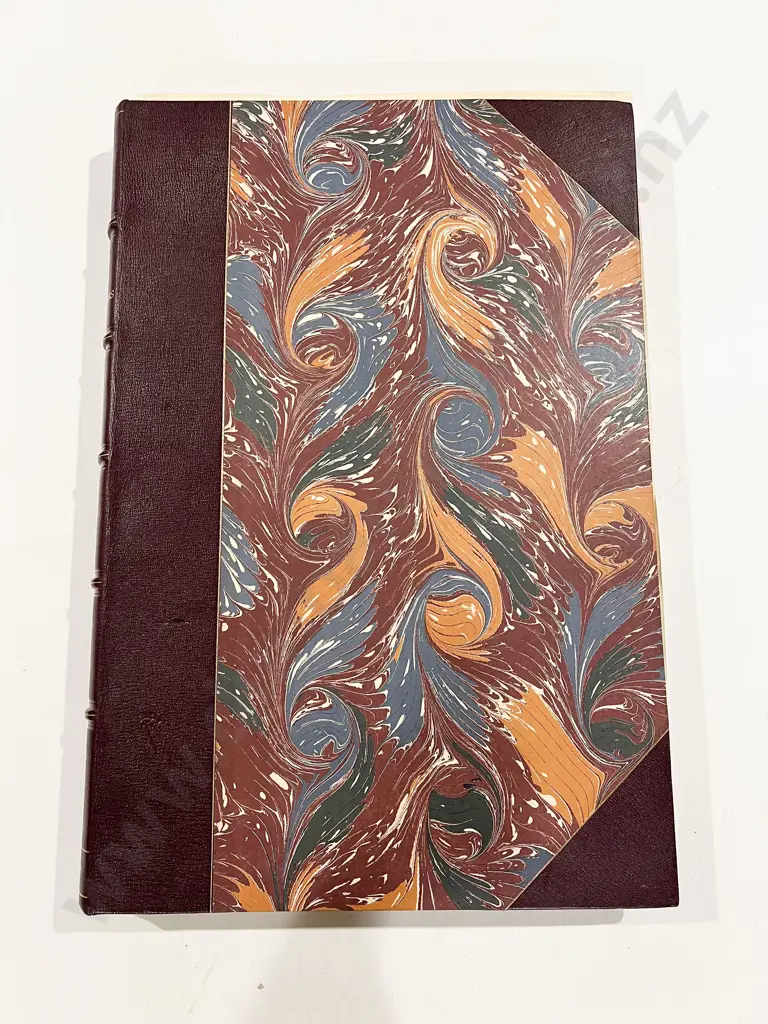 The New Zealanders by George French Angus Image 1++