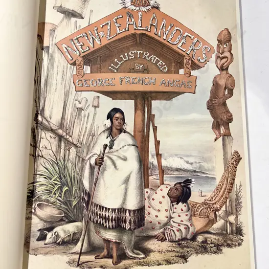 The New Zealanders by George French Angus