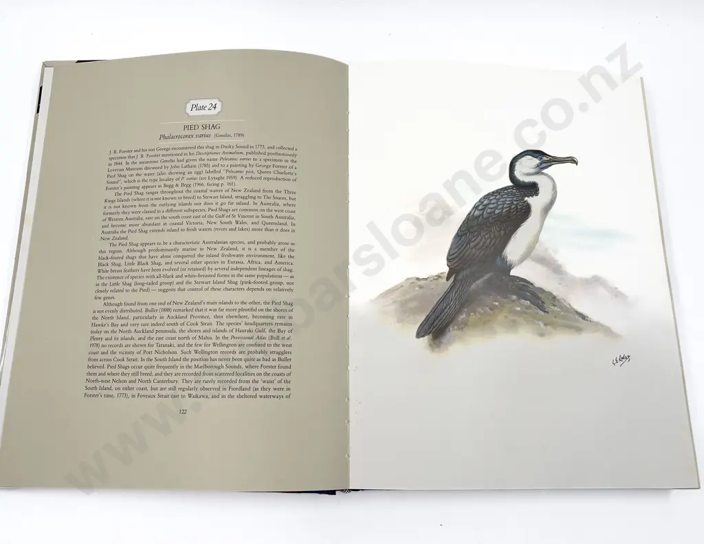 George Edward Lodge - The Unpublished New Zealand Bird Paintings Image 1++