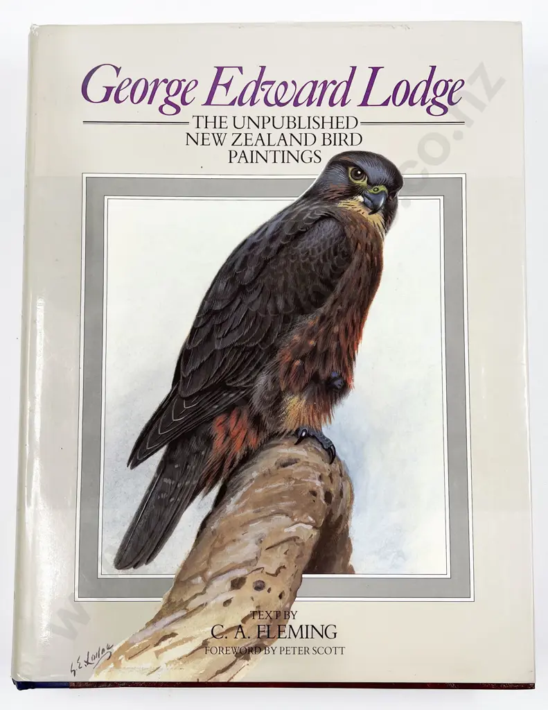 George Edward Lodge - The Unpublished New Zealand Bird Paintings Image 1++