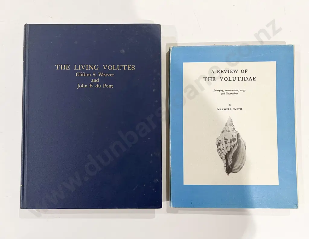 Quantity of Assorted Shells & Shell Related References Image 1++