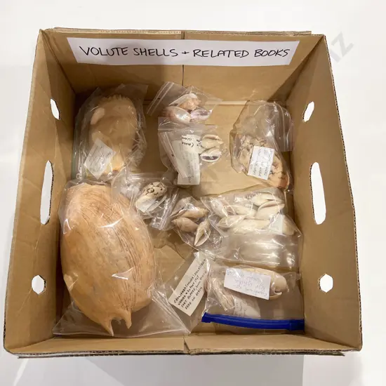 Quantity of Assorted Shells & Shell Related References