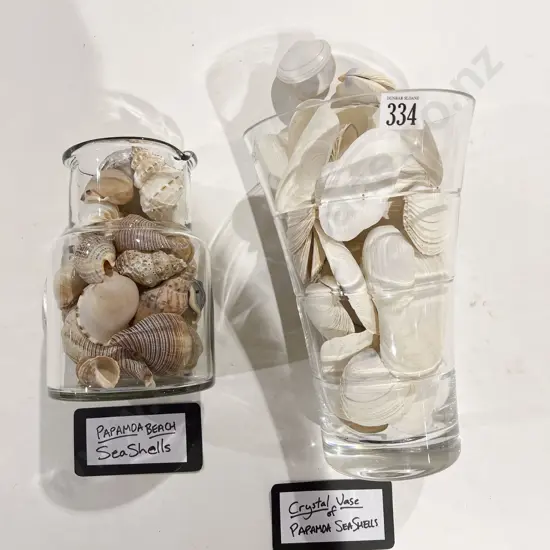 Quantity of Assorted Papamoa Seashells