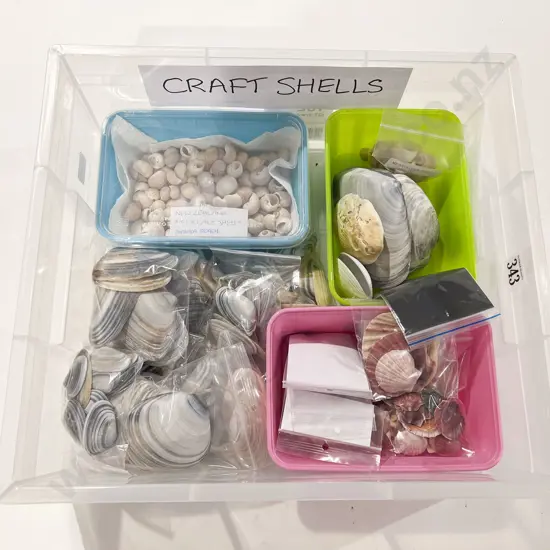Quantity of Assorted Craft Shells