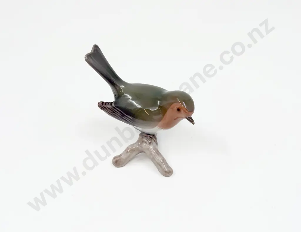 B & G Robin Image 1++