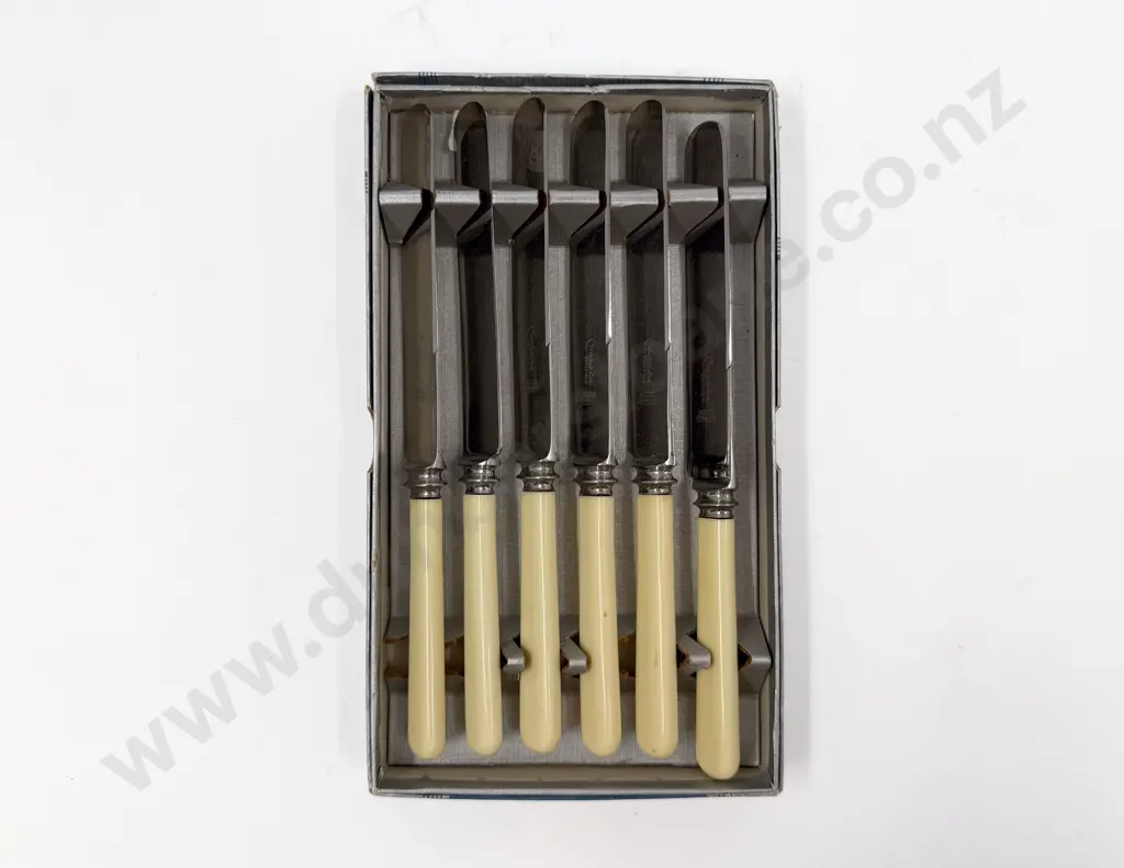 Boxed Set of Six Bone Handled Knives Image 1++