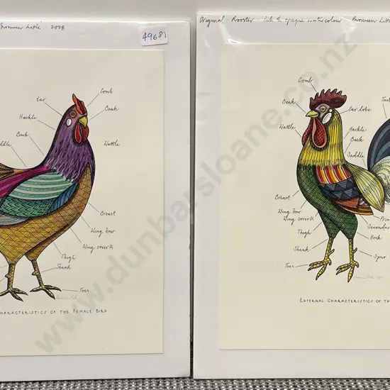 Bronwen Little - Pair of Unframed Chicken Studies - Ink & Watercolour