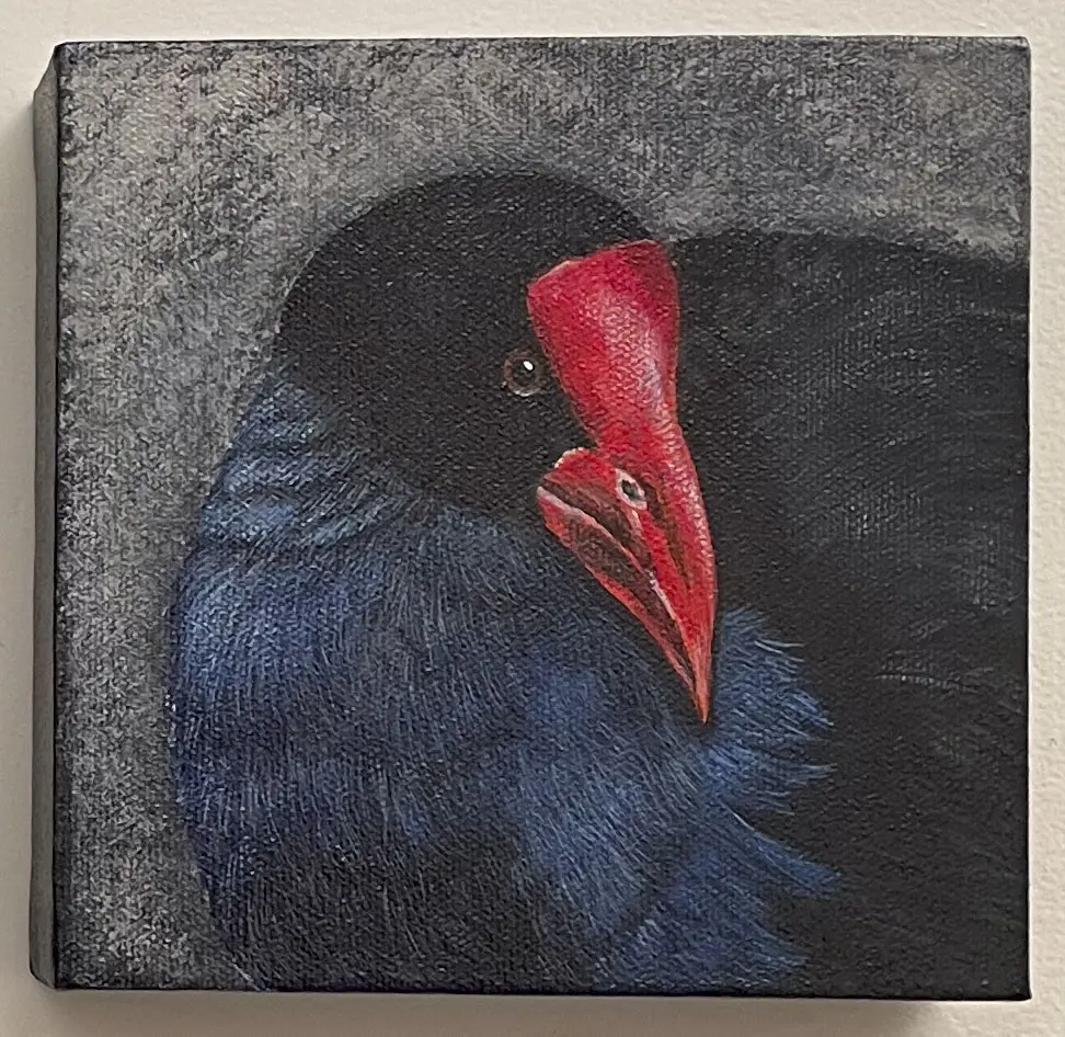 Pair of Oil on Canvas Native Bird Studies Image 1++