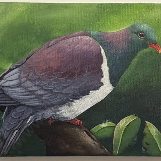 Pair of Oil on Canvas Native Bird Studies