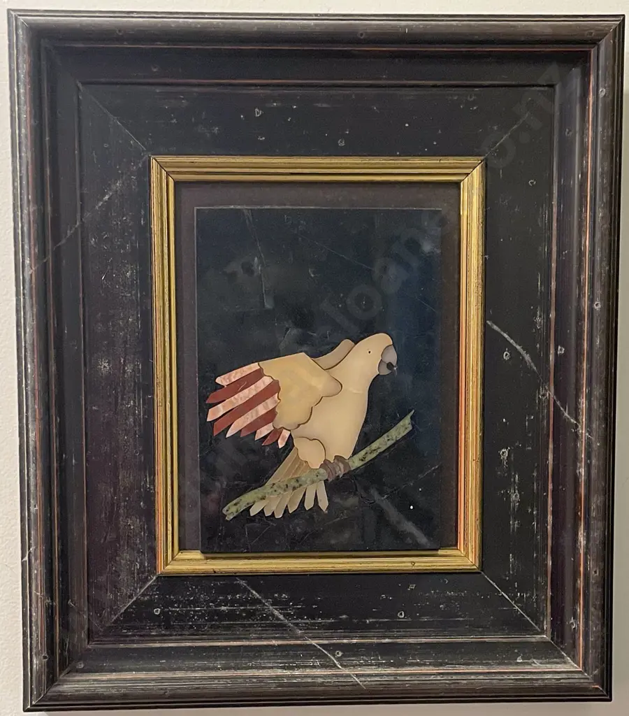 Unknown Artist - Untitled Parrot Study - Mosiac Image 1++