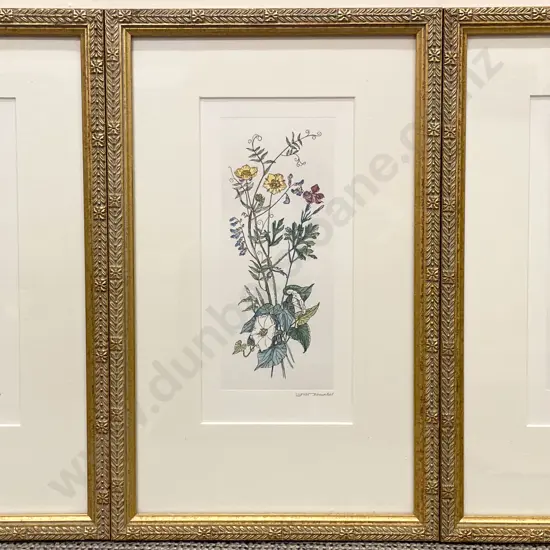 Three Indistinctly Signed Botanical Study Prints & Other