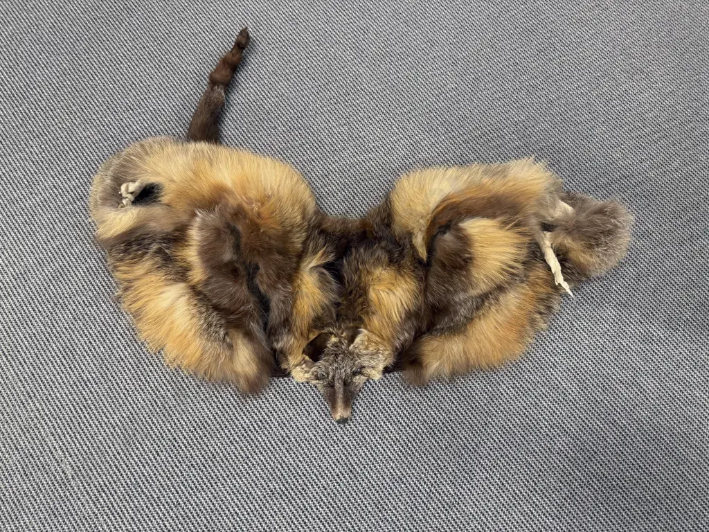 Fox Fur Shoulder Wrap Image 1++