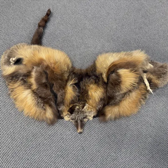 Fox Fur Shoulder Wrap