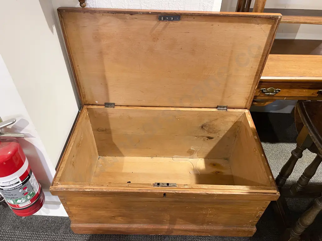 Kauri NZ Metal Handled Travel Trunk Image 1++